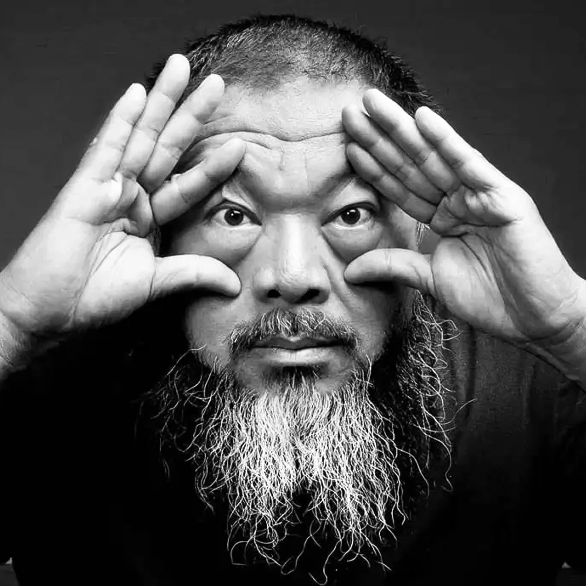 Ai Weiwei
