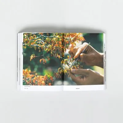Cleaning by Kenya Hara - Gessato Design Store