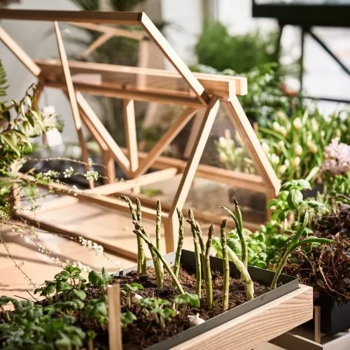 Greenhouse - Gessato Design Store