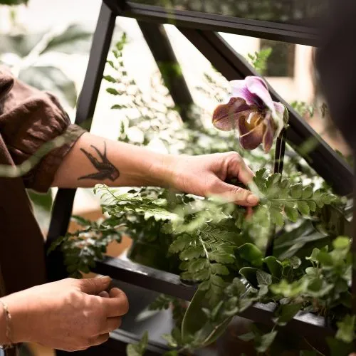 Greenhouse - Gessato Design Store