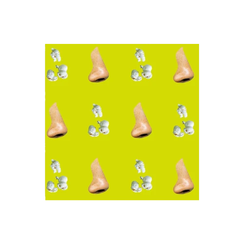 Nose / Popcorn by John Baldessari - Gessato Design Store
