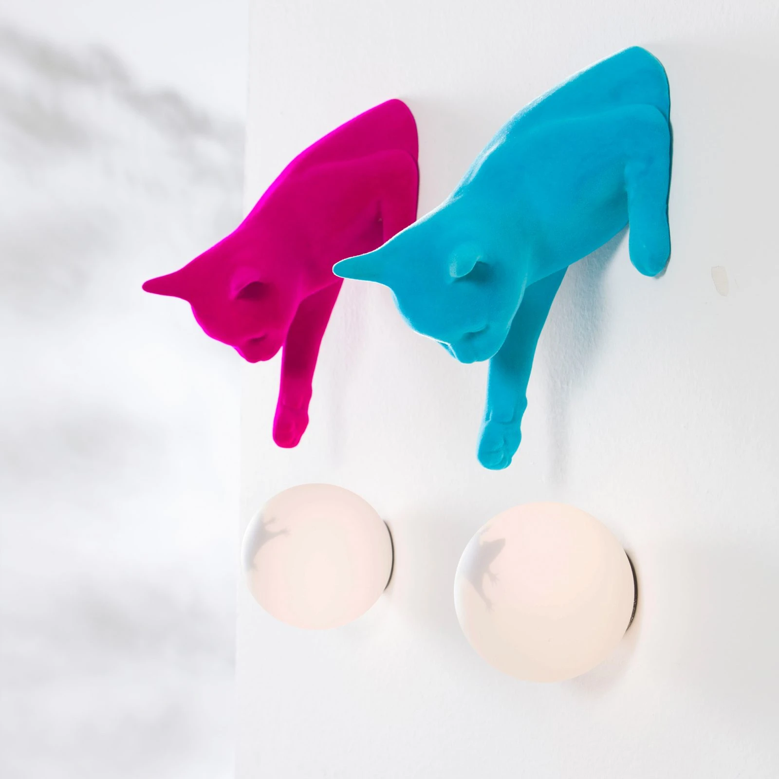 Extra product info