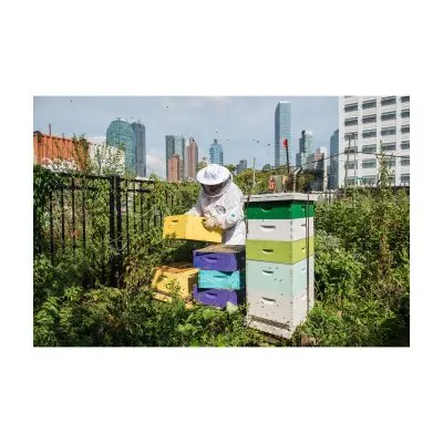 Urban Farmers The Now (and How) of Growing Food in the City - Gessato Design Store
