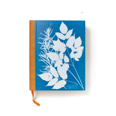 Anna Atkins. Cyanotypes - Gessato Design Store