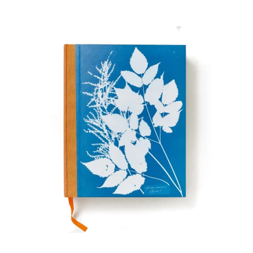 Anna Atkins. Cyanotypes - Gessato Design Store
