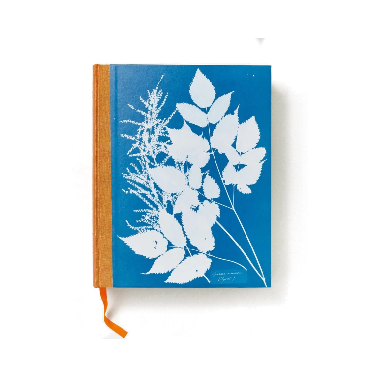 Anna Atkins. Cyanotypes - Gessato Design Store