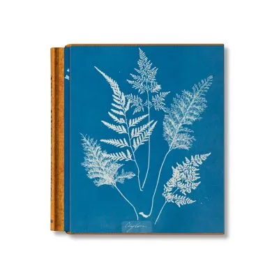 Anna Atkins. Cyanotypes - Gessato Design Store