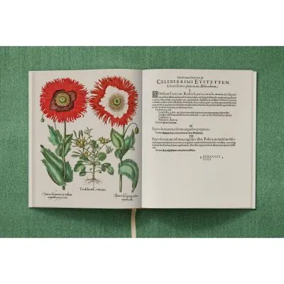 Basilius Besler. The Garden at Eichstätt - Gessato Design Store