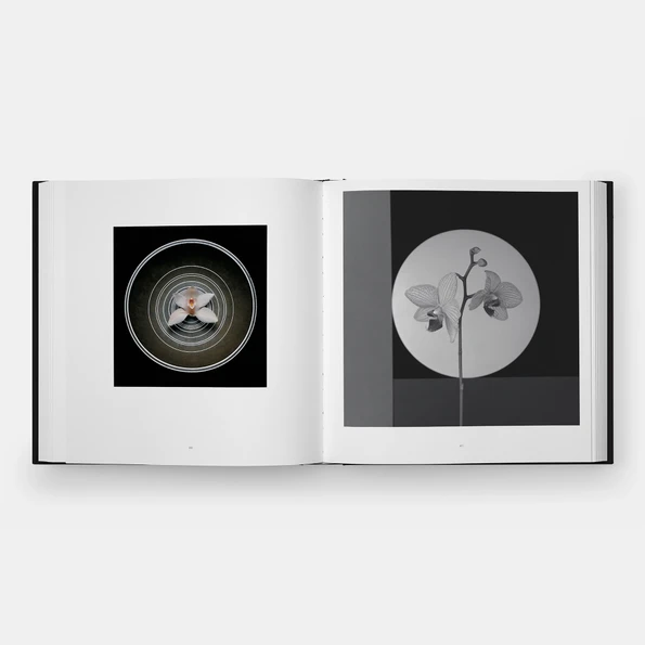 Phaidon - Mapplethorpe Flora: The Complete Flowers | Gessato