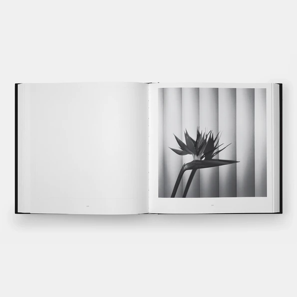 Phaidon - Mapplethorpe Flora: The Complete Flowers | Gessato