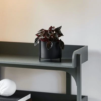 Pidestall Planter Small - Gessato Design Store