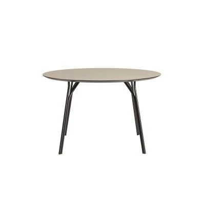 Tree Dining Table - Gessato Design Store