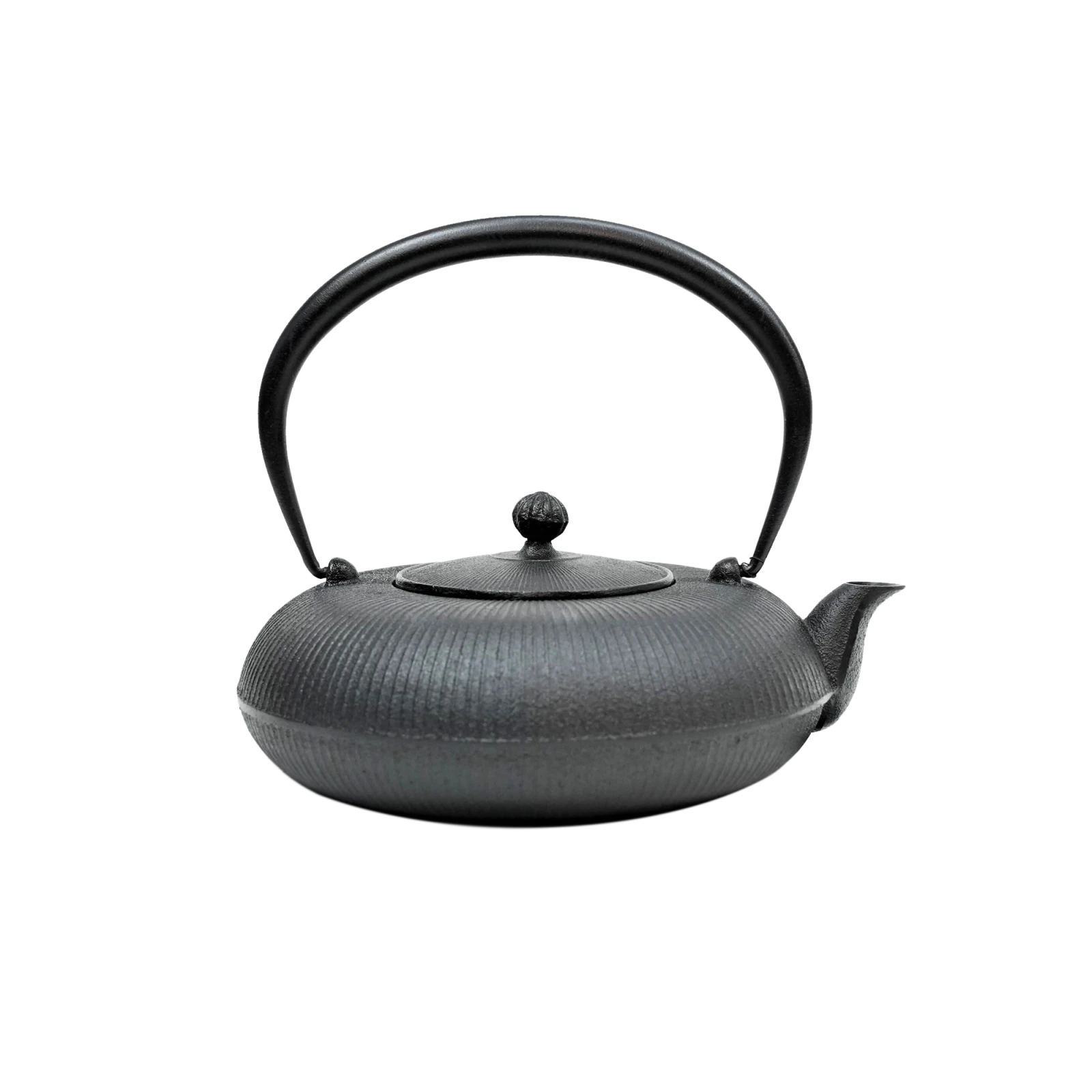 Standing Nambu Tekki Iron Kettle - Gessato Design Store