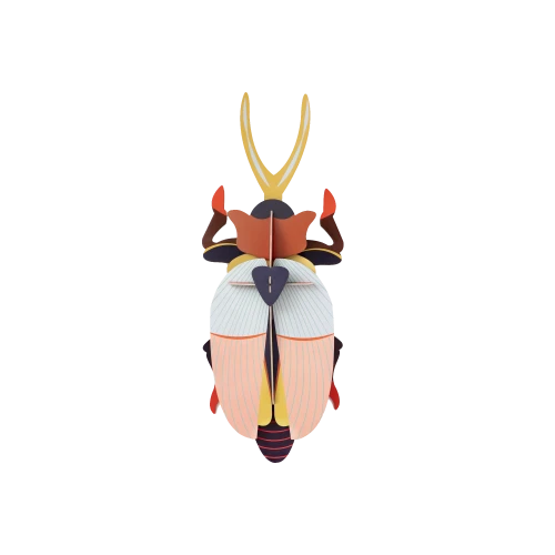 Rhinoceros Beetle Deluxe - Gessato Design Store