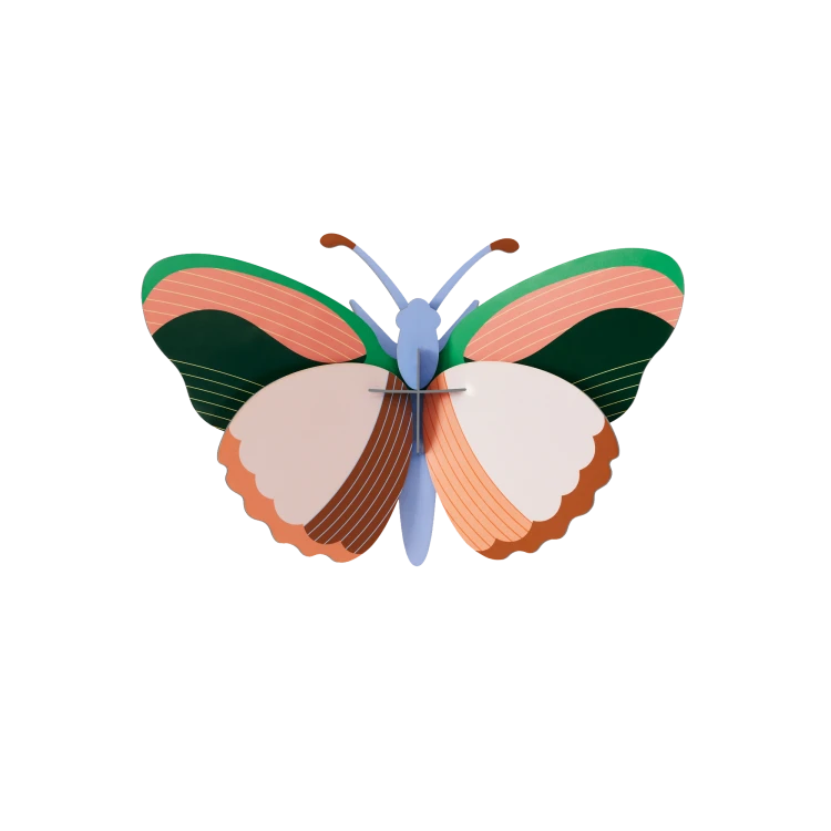 Sycamore Butterfly