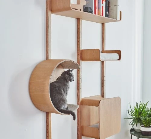 Alto - Cat Wall Climber - Gessato Design Store
