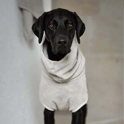 Bagno - Dog Bathrobe, Beige - Gessato Design Store