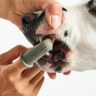 Dente - Dog Dental Gel - Gessato Design Store