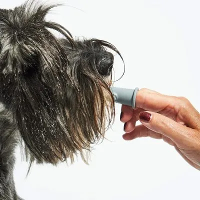 Dente - Dog Dental Gel - Gessato Design Store