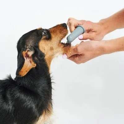 Dente - Dog Dental Gel - Gessato Design Store