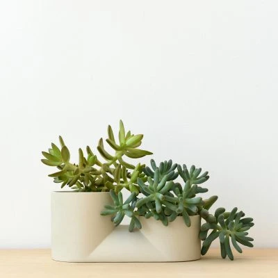 Double Planter - Gessato Design Store