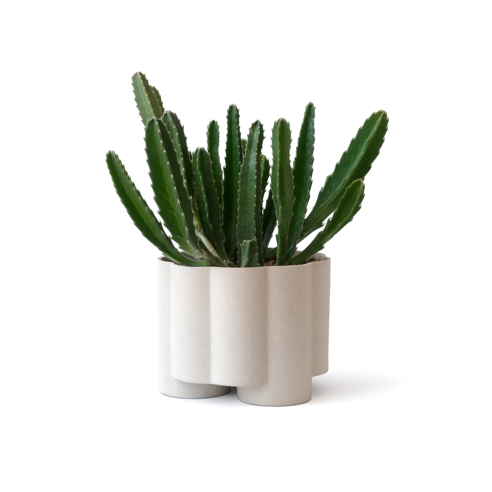 Pillar Planter - Gessato Design Store