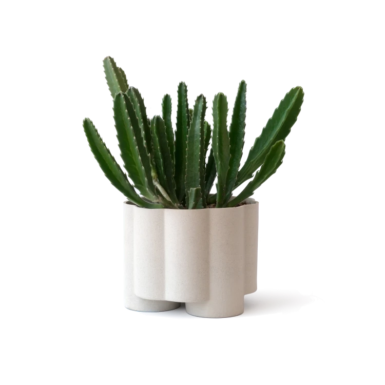 Pillar Planter - Gessato Design Store