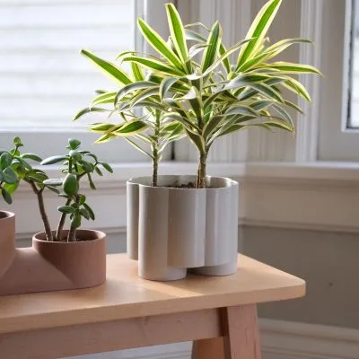 Pillar Planter - Gessato Design Store