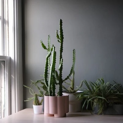Pillar Planter - Gessato Design Store