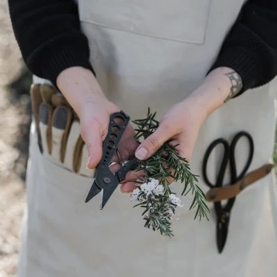 Herb Harvest + Strip Tool - Gessato Design Store