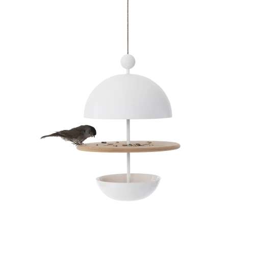 Dish of Desire Birdfeeder - Gessato Design Store