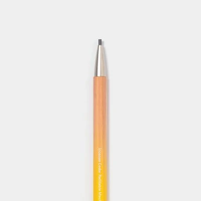 Elementary Pencil Set - Gessato Design Store