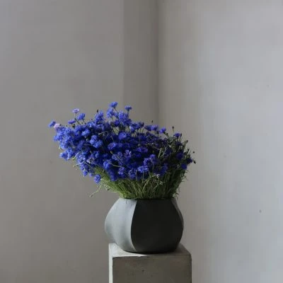 Arket Plant Pot, Dark Gray - Gessato Design Store