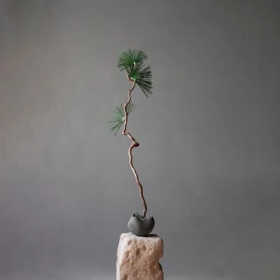 Curve Bowl - Gessato Design Store