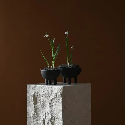 Duck Bowl - Gessato Design Store