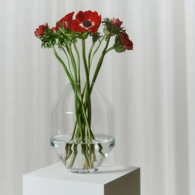 Hydro Vase - Gessato Design Store
