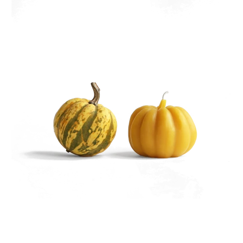 Carnival Squash Candle - Gessato Design Store