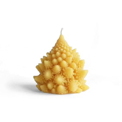Romanesco Beeswax Candle - Gessato Design Store