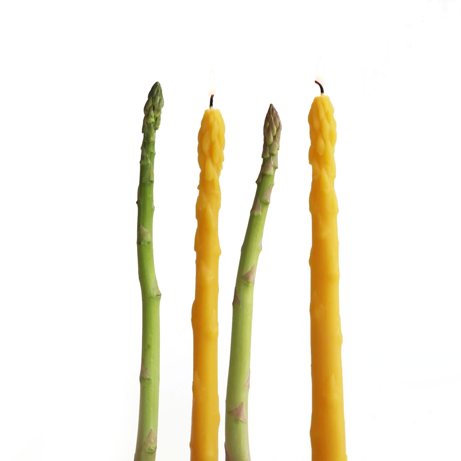 Asparagus Tapers, Set of 2 - Gessato Design Store