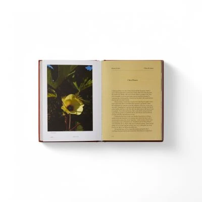 edible-flowers-book-gessato-5