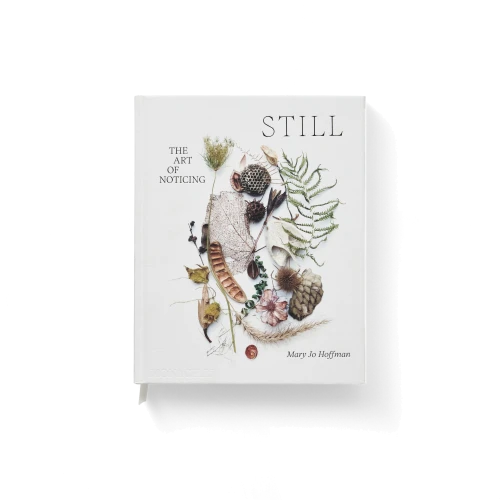 STILL: The Art of Noticing