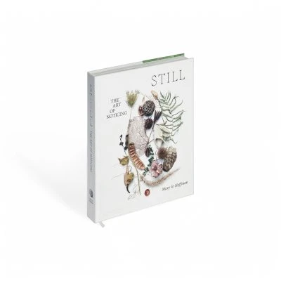 lifestyle picutures