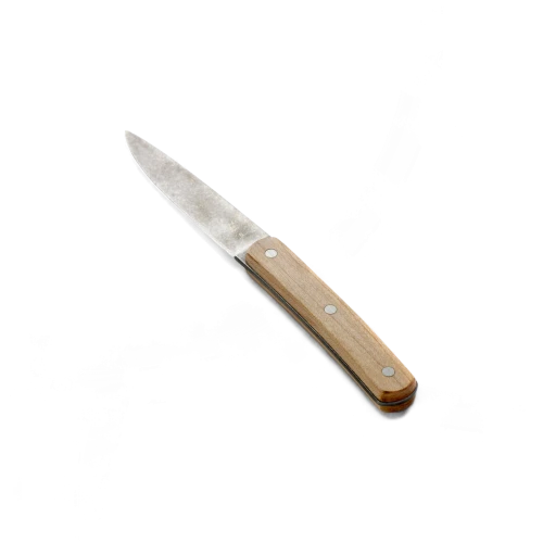 Surface Paring Knife