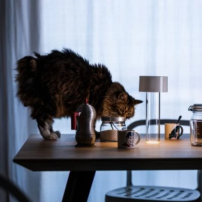 foscarini-fleur-vase-and-portable-lamp-gessato-4
