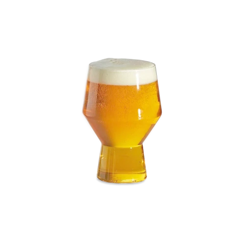 Juniper Beer Glass, Set of 2