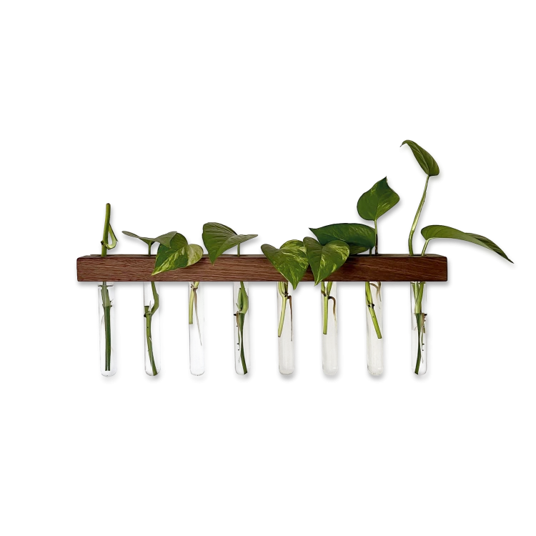 plant-lab