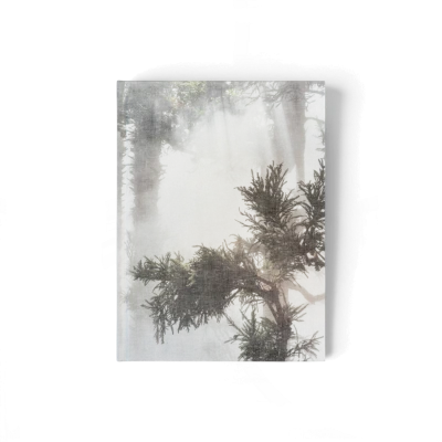 curas-garden-book-gessato-0