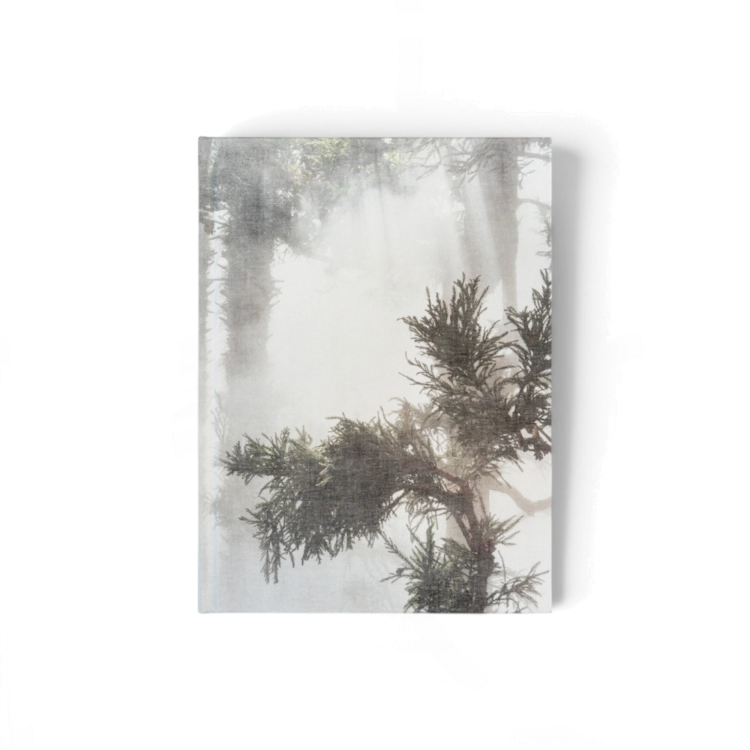 curas-garden-book-gessato-0