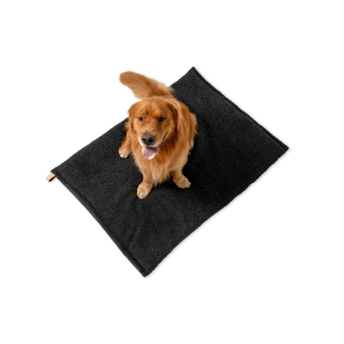 Richard - Dog Cushion
