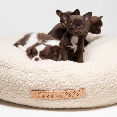 2.8-fulvio-boucle-wool-round-dog-cushion-gessato-18